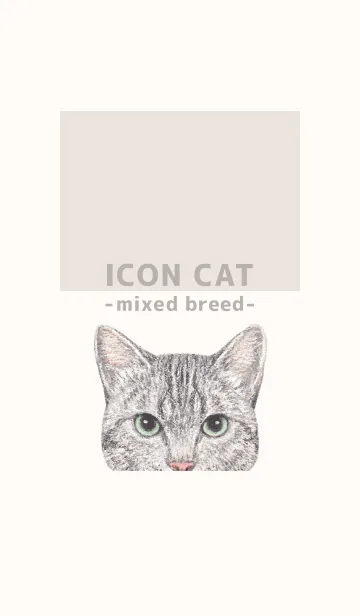 [LINE着せ替え] ICON CAT - ミックス - BEIGE/16の画像1