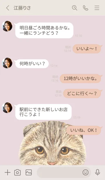 [LINE着せ替え] ICON CAT - スコティッシュ - PASTEL PK/06の画像3