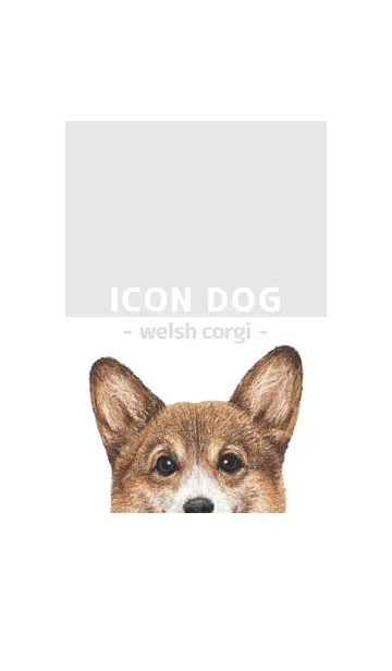 [LINE着せ替え] ICON DOG - コーギー 01 - GRAY/03の画像1