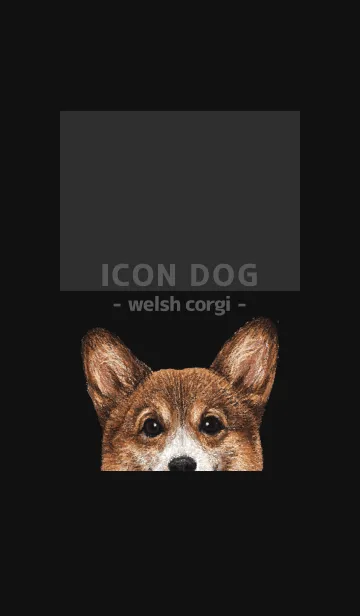 [LINE着せ替え] ICON DOG - コーギー 01 - BLACK/03の画像1