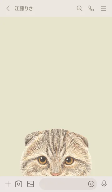 [LINE着せ替え] ICON CAT - スコティッシュ - PASTEL YE/06の画像2