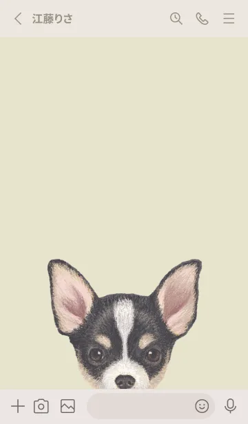 [LINE着せ替え] ICON DOG - チワワ - PASTEL YE/03の画像2