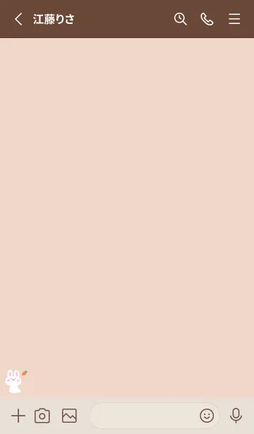 [LINE着せ替え] うさぎ2人参[オレンジ]の画像2