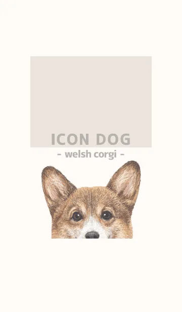 [LINE着せ替え] ICON DOG - コーギー 01 - BEIGE/03の画像1