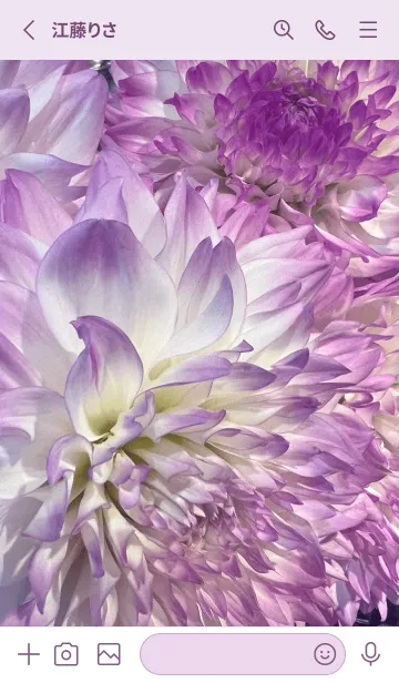 [LINE着せ替え] DAHLIA-Purple Flowerの画像2