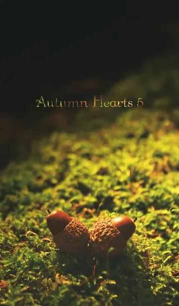 [LINE着せ替え] AutumnHearts 5の画像1