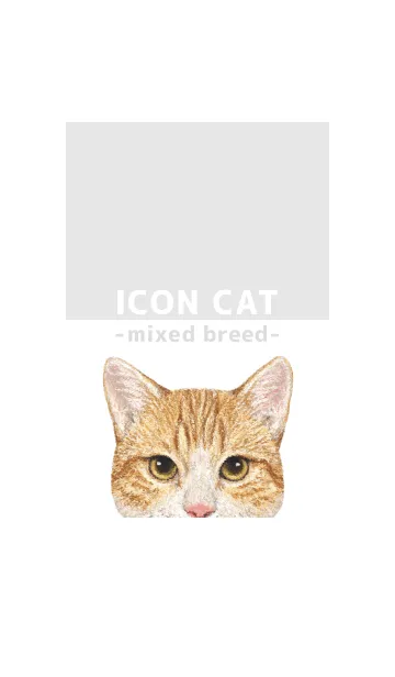 [LINE着せ替え] ICON CAT - ミックス - GRAY/17の画像1