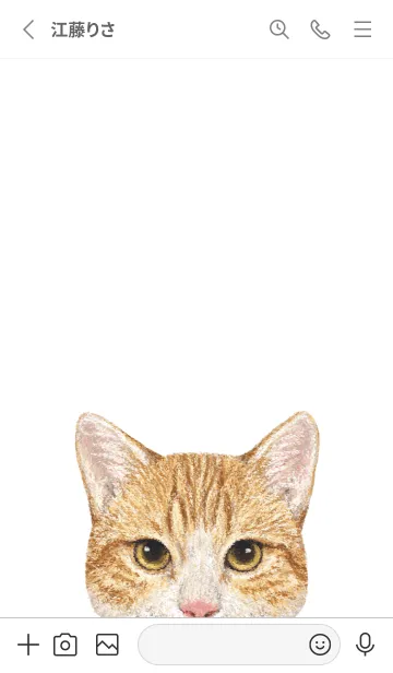 [LINE着せ替え] ICON CAT - ミックス - GRAY/17の画像2