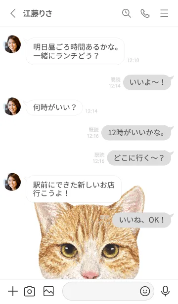 [LINE着せ替え] ICON CAT - ミックス - GRAY/17の画像3