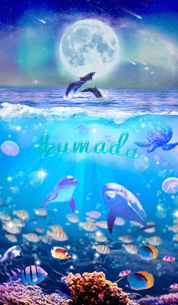 [LINE着せ替え] ワンダフルライフ✨くまだの祝福の画像1