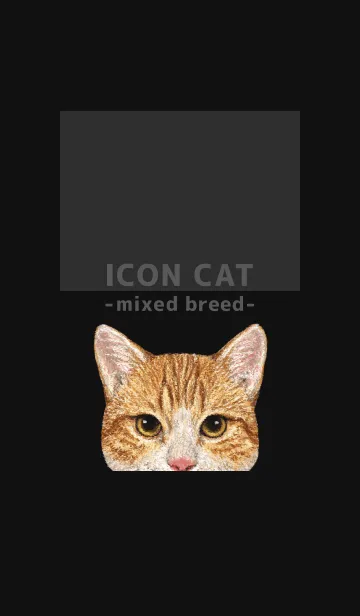 [LINE着せ替え] ICON CAT - ミックス - BLACK/17の画像1