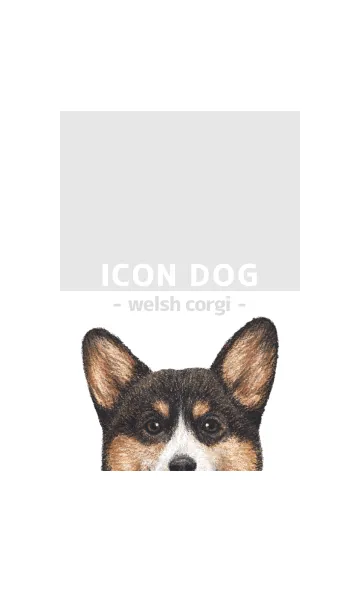 [LINE着せ替え] ICON DOG - コーギー 01 - GRAY/04の画像1