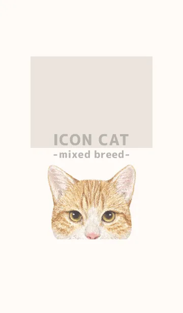 [LINE着せ替え] ICON CAT - ミックス - BEIGE/17の画像1