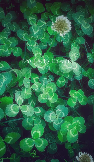 [LINE着せ替え] 本物ラッキークローバーズ #41の画像1