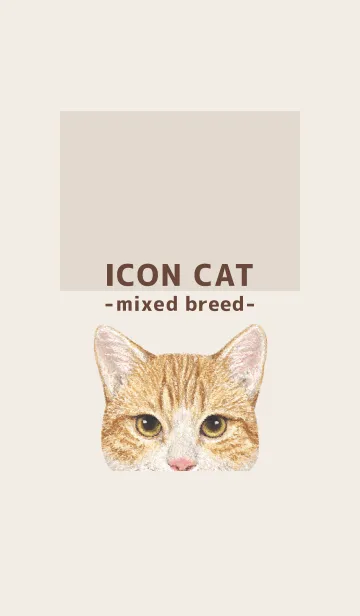 [LINE着せ替え] ICON CAT - ミックス - BROWN/17の画像1