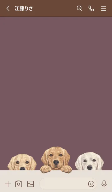 [LINE着せ替え] ゴールデンレトリバー - ダスティローズの画像2
