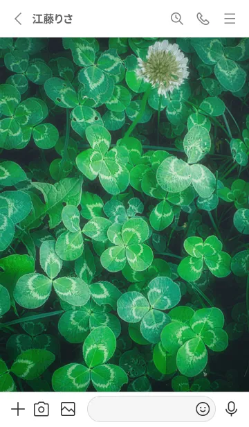 [LINE着せ替え] 本物ラッキークローバーズ #45の画像2