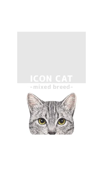 [LINE着せ替え] ICON CAT - ミックス - GRAY/18の画像1