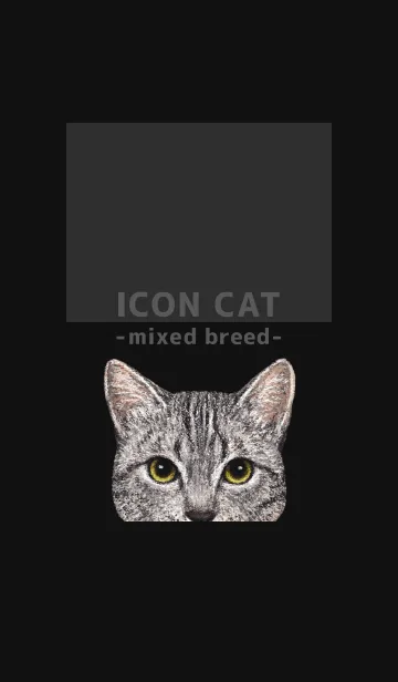 [LINE着せ替え] ICON CAT - ミックス - BLACK/18の画像1