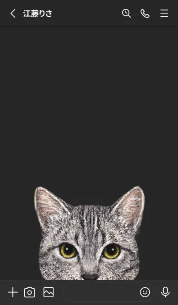 [LINE着せ替え] ICON CAT - ミックス - BLACK/18の画像2