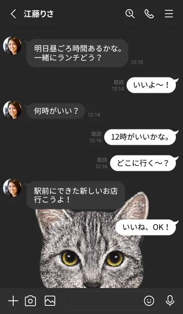 [LINE着せ替え] ICON CAT - ミックス - BLACK/18の画像3