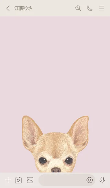 [LINE着せ替え] ICON DOG - チワワ - PASTEL PK/04の画像2