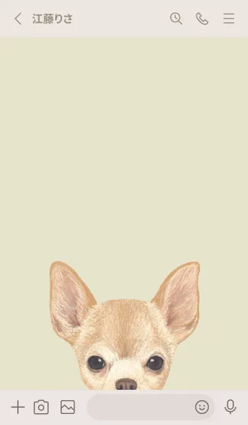 [LINE着せ替え] ICON DOG - チワワ - PASTEL YE/04の画像2