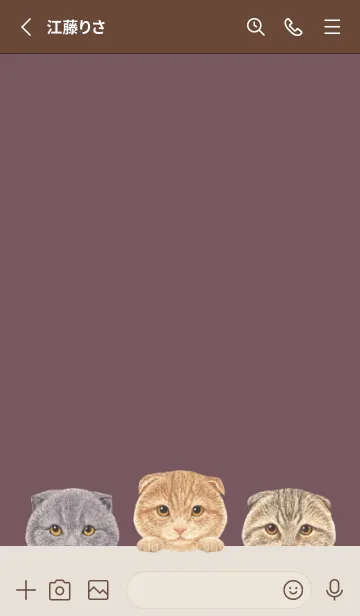 [LINE着せ替え] 猫 -スコティッシュ- ダスティローズの画像2