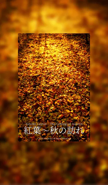 [LINE着せ替え] 紅葉〜秋の訪れ 2の画像1