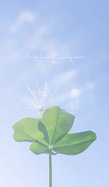 [LINE着せ替え] 幸運の妖精ケサランパサラン #1の画像1