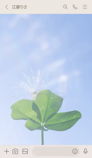 [LINE着せ替え] 幸運の妖精ケサランパサラン #1の画像2