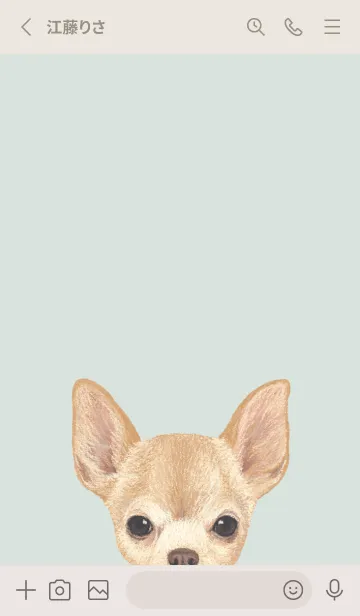 [LINE着せ替え] ICON DOG - チワワ - PASTEL GR/04の画像2