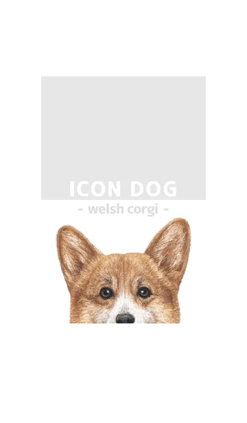 [LINE着せ替え] ICON DOG - コーギー 01 - GRAY/05の画像1