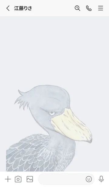 [LINE着せ替え] 怪鳥ハシビロコウの画像2