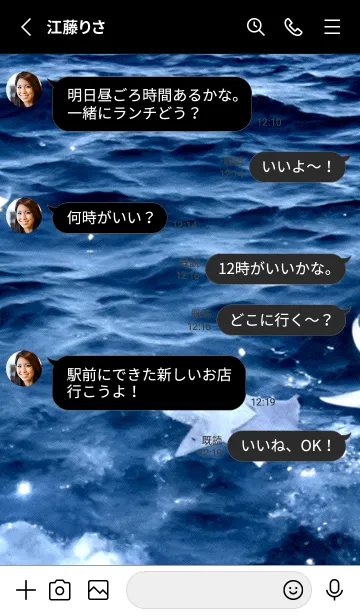 [LINE着せ替え] 夜の月 月の海 #4j19_1。の画像3