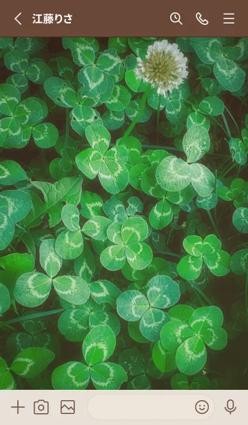 [LINE着せ替え] 本物ラッキークローバーズ #57の画像2