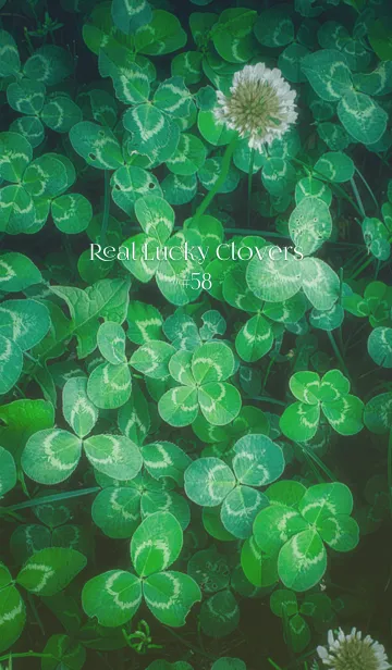 [LINE着せ替え] 本物ラッキークローバーズ #58の画像1