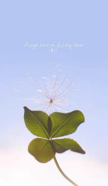 [LINE着せ替え] 幸運の妖精ケサランパサラン #11の画像1