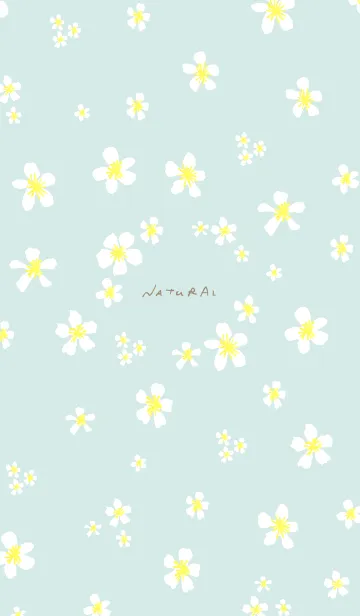 [LINE着せ替え] 白い小花が舞う10の画像1