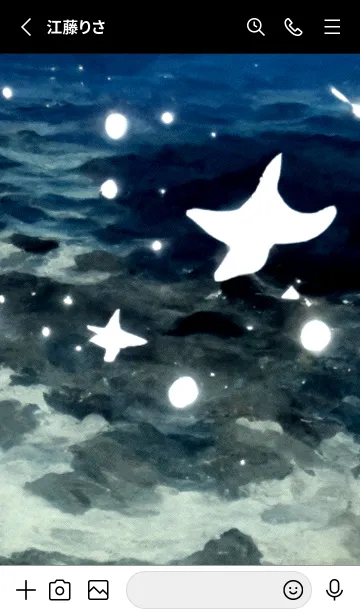 [LINE着せ替え] 夜の月 月の海 #4j20_14。の画像2