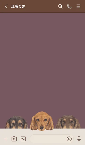 [LINE着せ替え] ダックスフンド L - ダスティローズの画像2