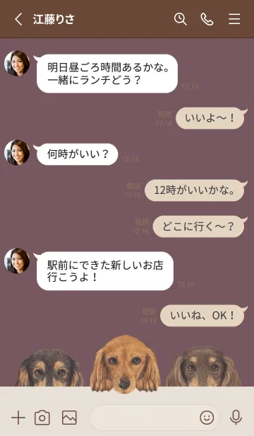 [LINE着せ替え] ダックスフンド L - ダスティローズの画像3