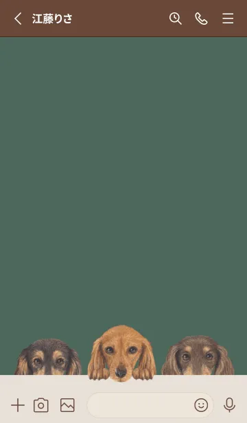 [LINE着せ替え] ダックスフンド L - ダークグリーンの画像2