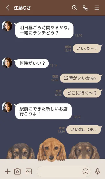 [LINE着せ替え] ダックスフンド L - ダスティネイビーの画像3