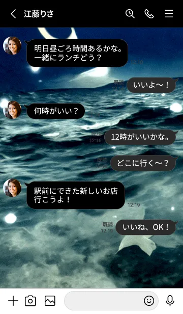 [LINE着せ替え] 夜の月 月の海 #4j21_26。の画像3