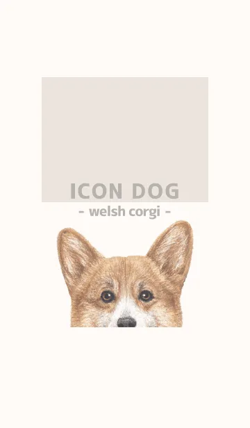 [LINE着せ替え] ICON DOG - コーギー 01 - BEIGE/05の画像1