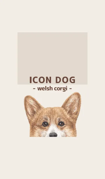 [LINE着せ替え] ICON DOG - コーギー 01 - BROWN/05の画像1