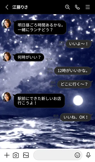 [LINE着せ替え] 夜の月 月の海 #4jw_3。の画像3