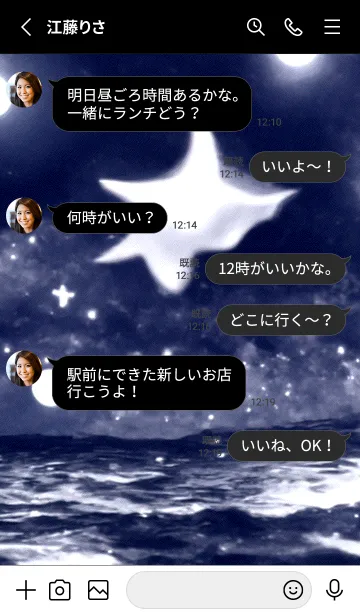 [LINE着せ替え] 夜の月 月の海 #4jw_13。の画像3