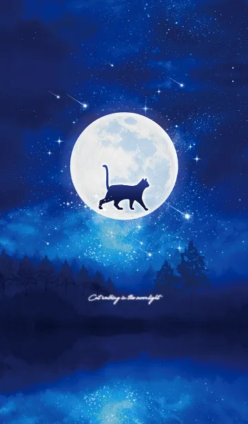 [LINE着せ替え] 幸運を呼びこむ✨月明かりを歩くネコの画像1